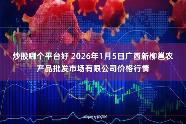 炒股哪个平台好 2026年1月5日广西新柳邕农产品批发市场有限公司价格行情